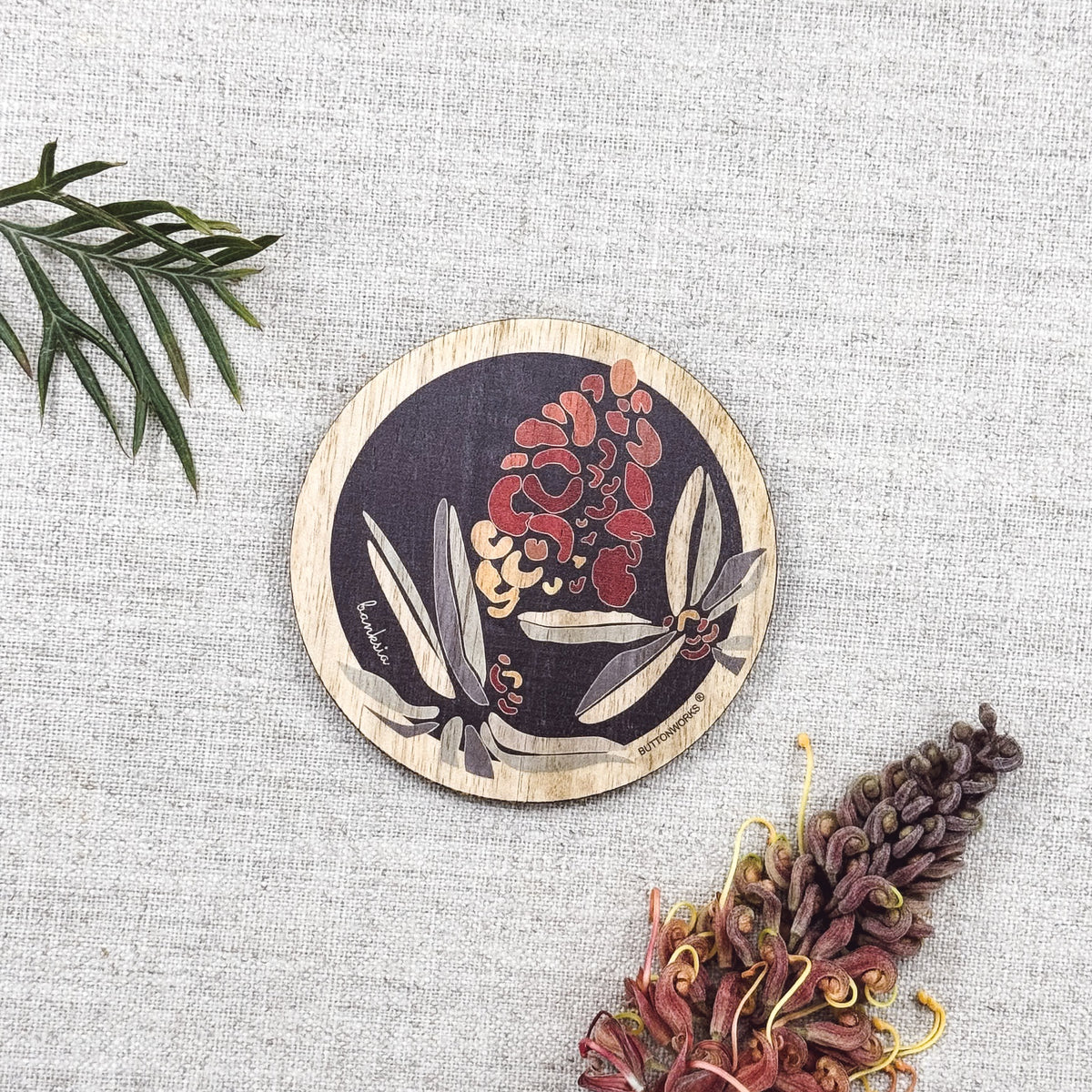 Banksia Coaster Single