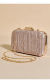 Adorne | Portia Pleated Framed Event Clutch (Champagne)