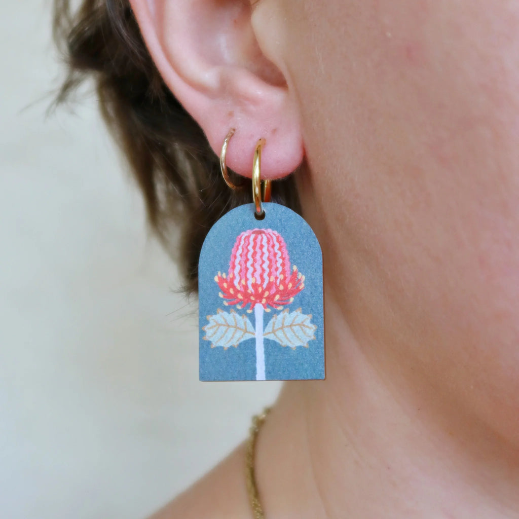 Pixie Nut | Scarlet Banksia