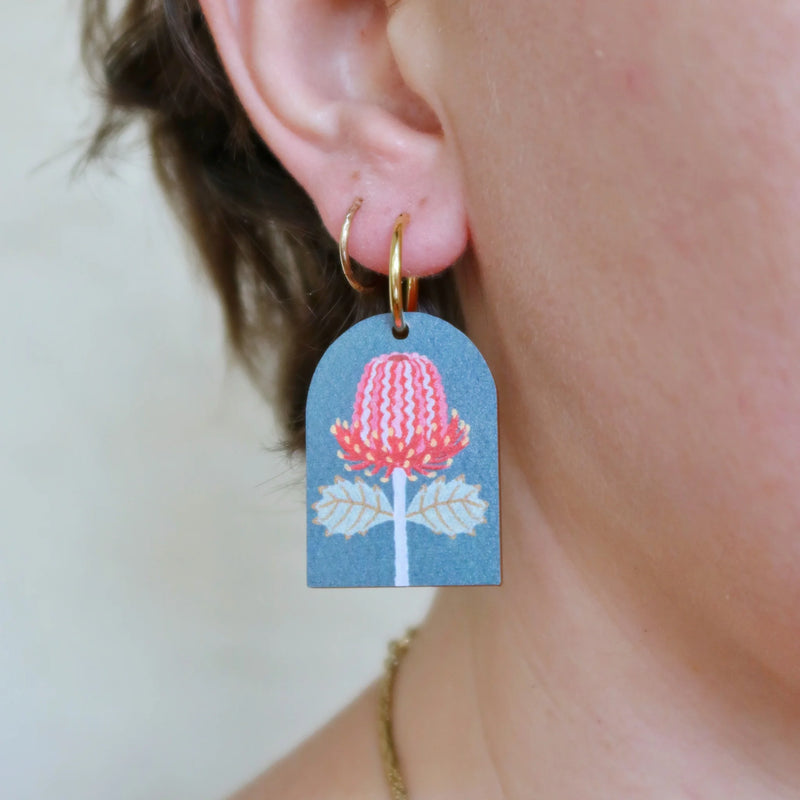 Pixie Nut | Scarlet Banksia