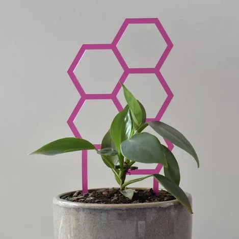 Hex Plant Climber | Frosted Pink