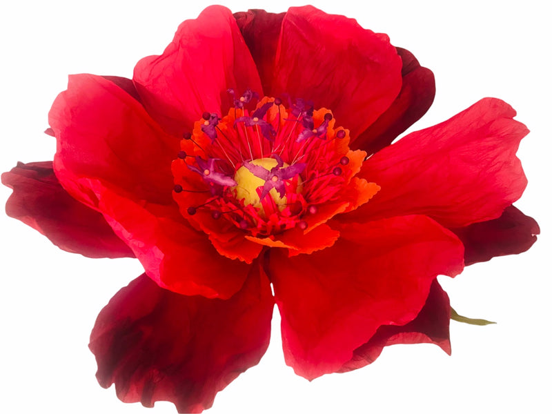 Nibbanah | PF-DC-XL PAPER FLOWER: DANCING FLOWER / XL RED