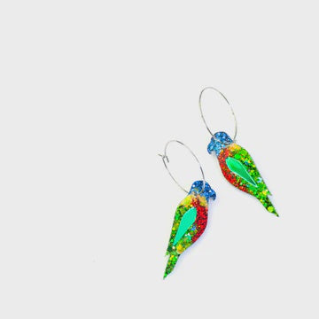Lunar Dee | Randall the Rainbow lorikeet v.2 Hoops