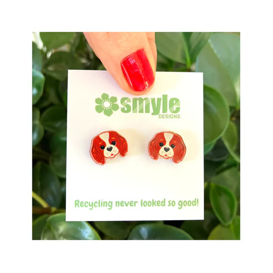 Smyle Designs | King Charles Cavalier Spaniel Studs