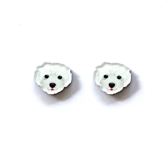 Smyle Designs | Maltese Poodle Studs