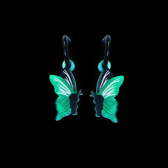 Bobbi Frances | Ornithoptera Butterfly - Small