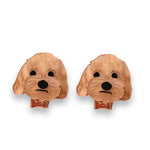 Bling Hound | Cavoodle Studs