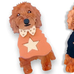 Bling Hound | Groodle Brooch - Orange Jumper