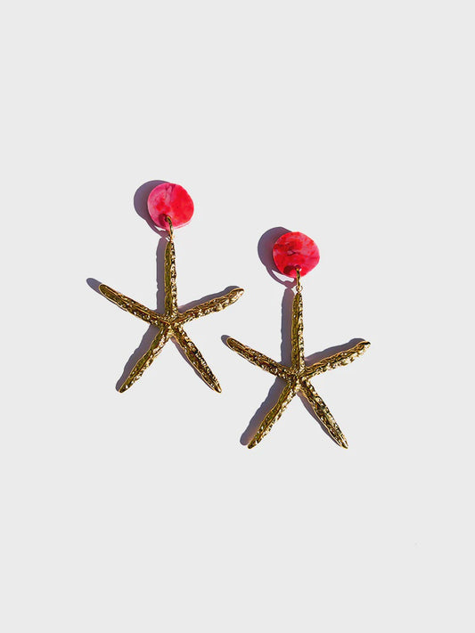 Concrete Jellyfish | Brass Starfish