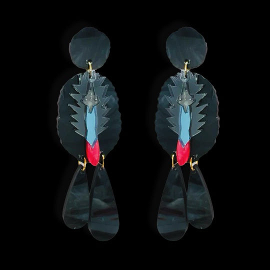Bobbi Frances | Cassowary