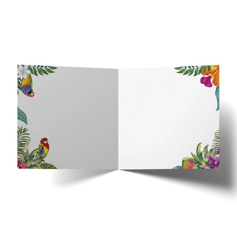 La La Land Greeting Card | Tropicana Happy Birthday Fruits