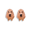 Bling Hound | Labradoodle Studs