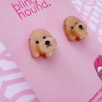 Bling Hound | Cavoodle Studs