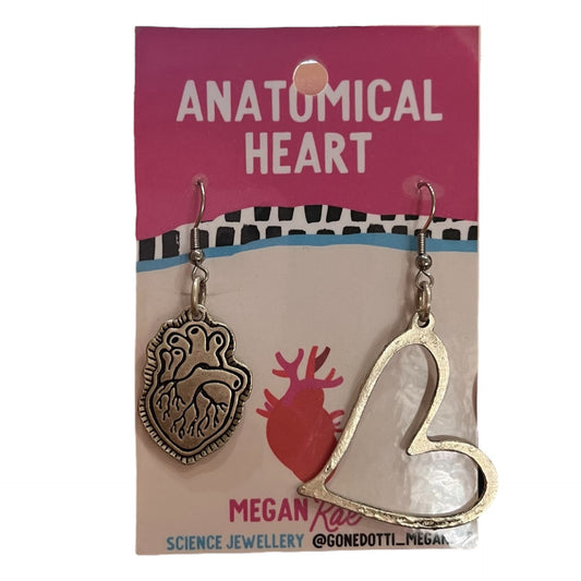 Megan Rae | Anatomical Heart (Love)