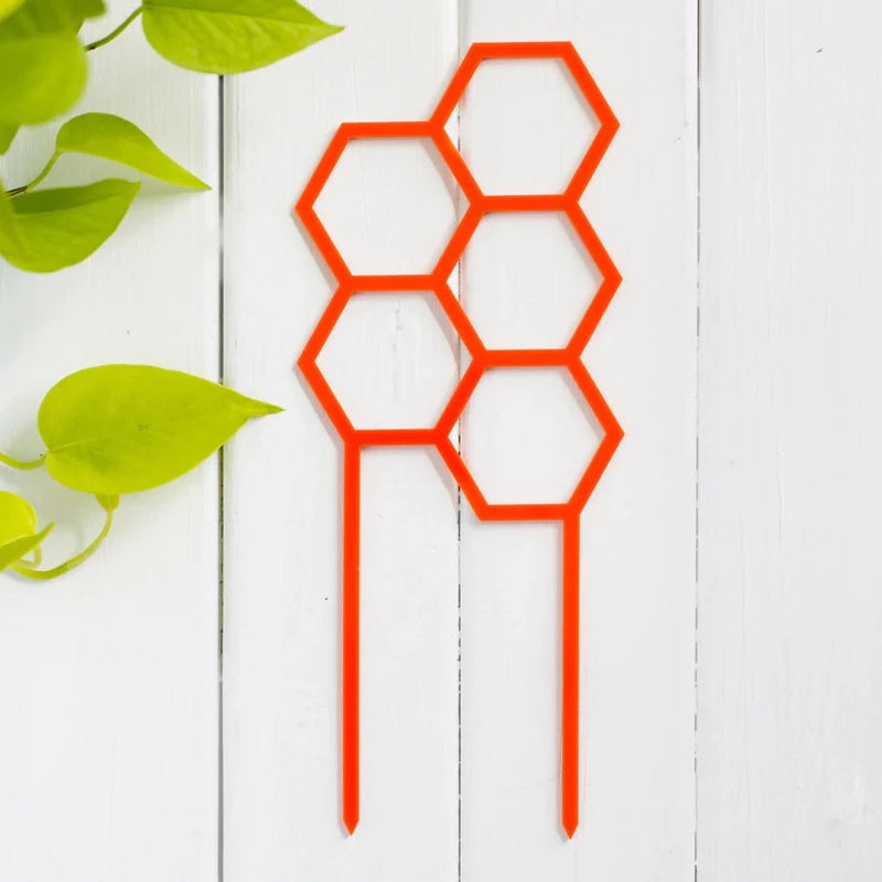 Hex Plant Climber | Orange