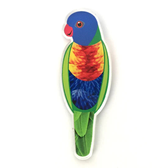 Smyle Designs | Rainbow Lorikeet Brooch