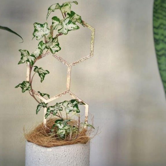 Pollen Plant Climber | Gold Glitter