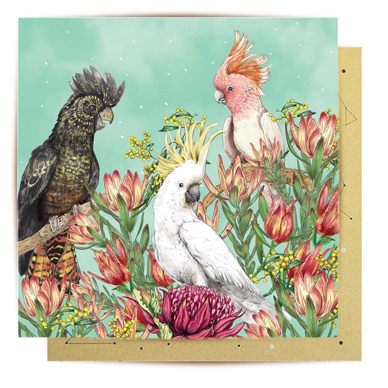 La La Land Greeting Card | Cockatoos of Australia