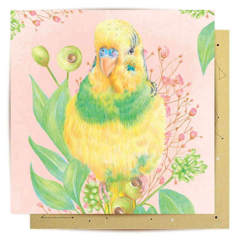 La La Land Greeting Card | Buckwheat The Budgerigar